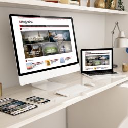 Website 